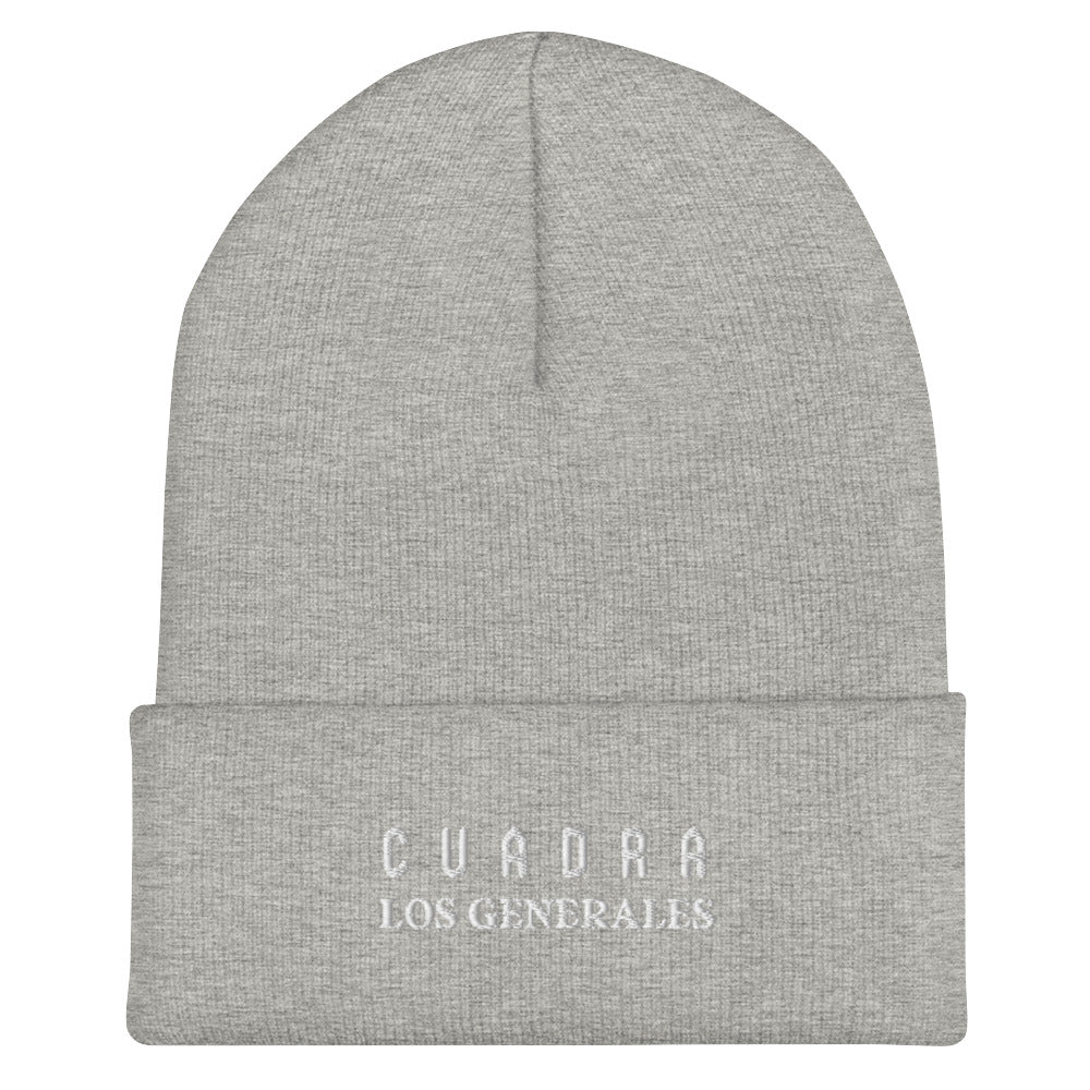 Cuffed Beanie