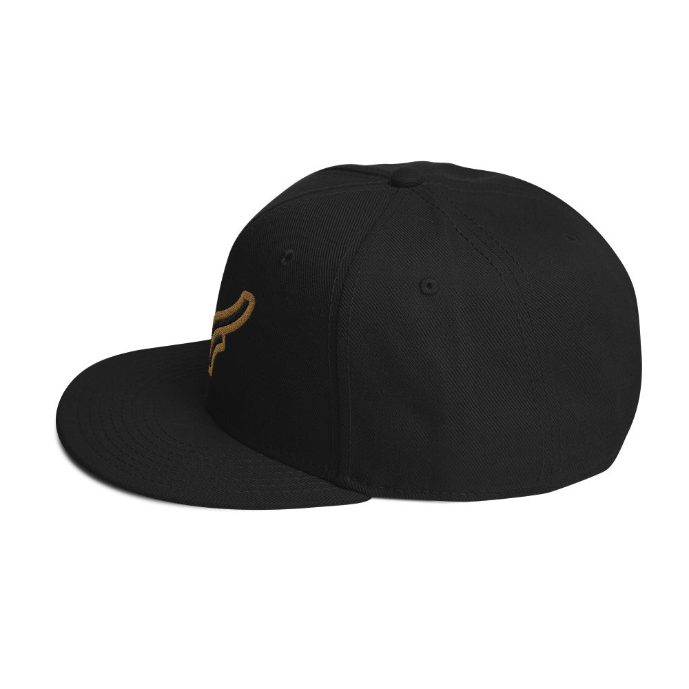 09 Vaquero Snapback Hat