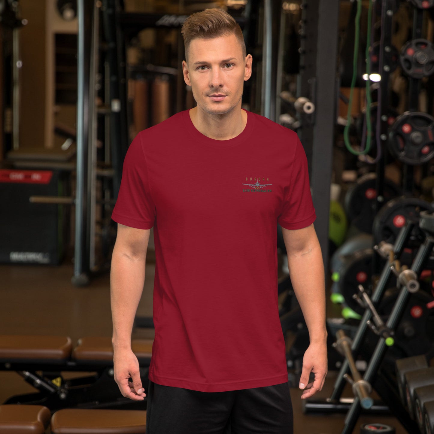 4.1 Avioneta Unisex t-shirt