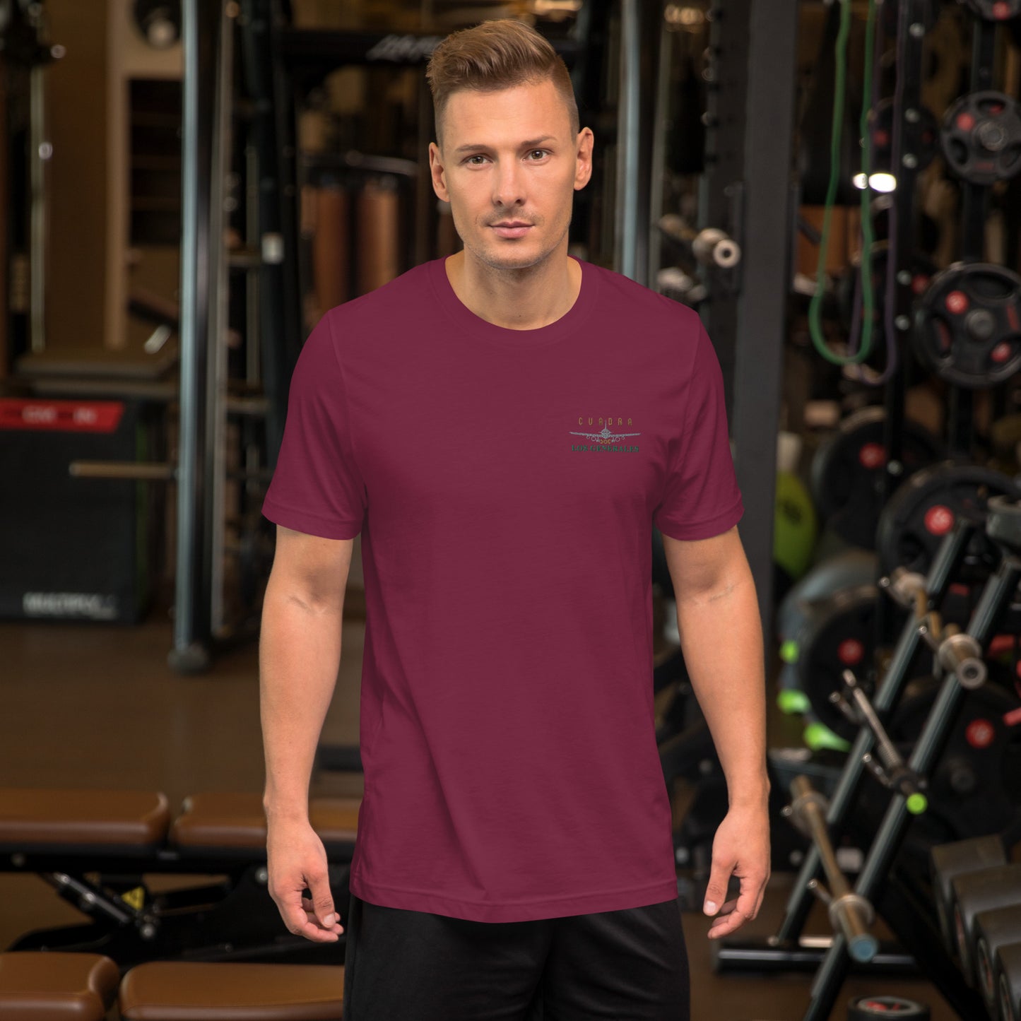 4.1 Avioneta Unisex t-shirt