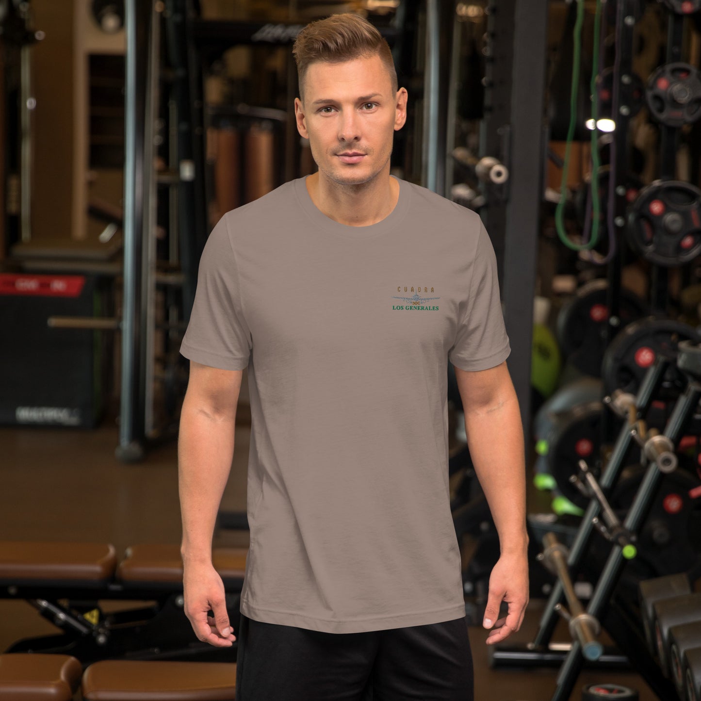 4.1 Avioneta Unisex t-shirt